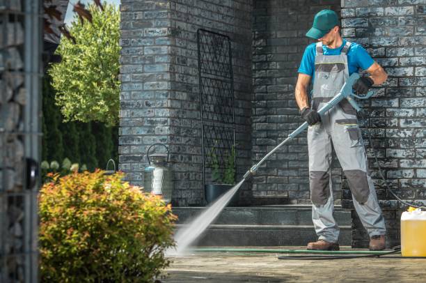 Best Animal Enclosure Cleaning  in Grant, MI